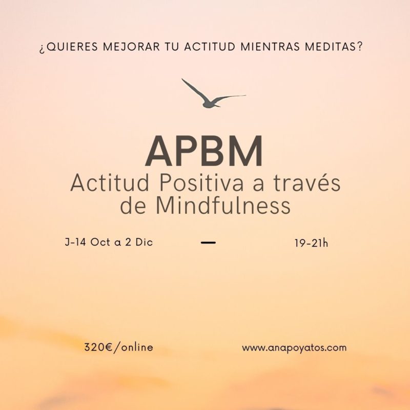APBM Otoño 21